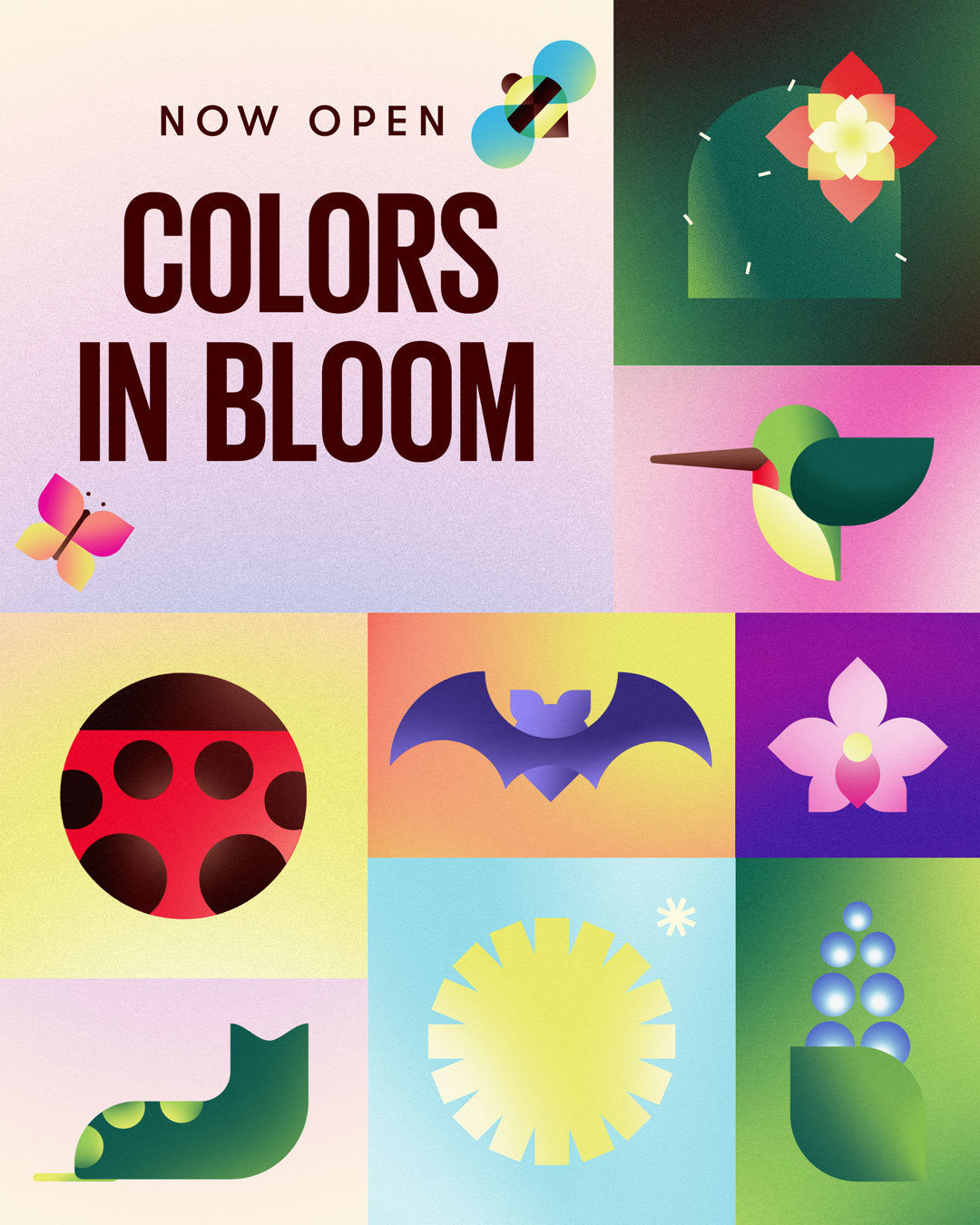 Colors in Bloom 🌷🌸🌵